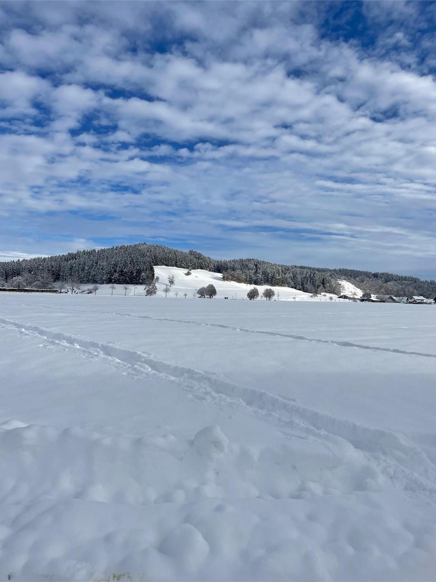 Salty Sol Apartment Leutkirch im Allgäu Екстериор снимка